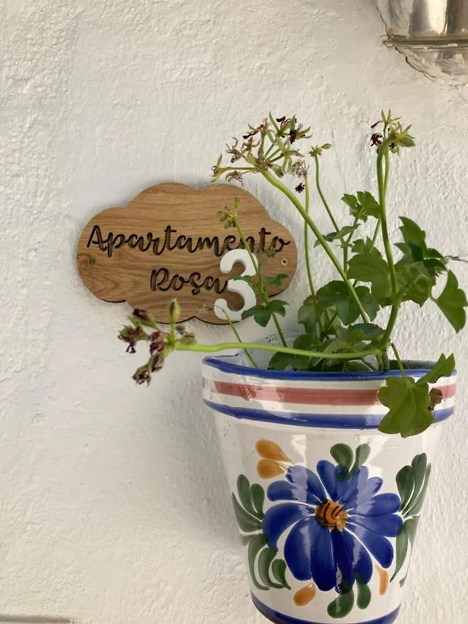 Apartamento Rosa Arroyo Frio Spain